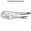 Teng Tools 12" Plated, Serrated & Flat Power Grip Locking Pliers - 401-12F 401-12F